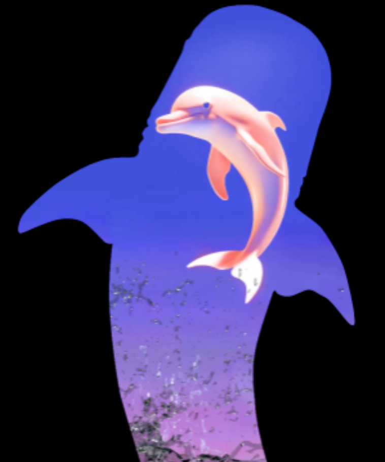 9.png